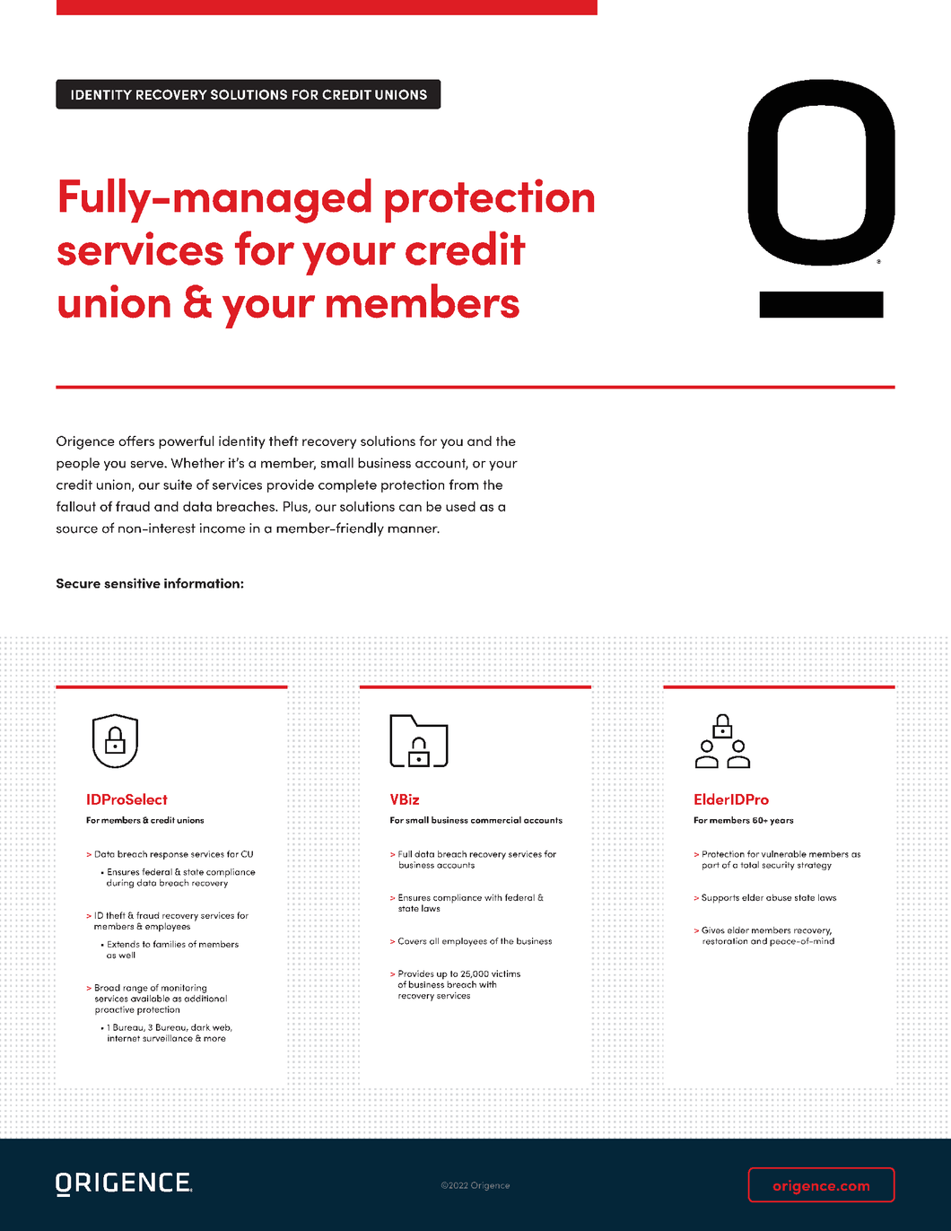 Identity Solutions Sales Sheet (Credit Unions)